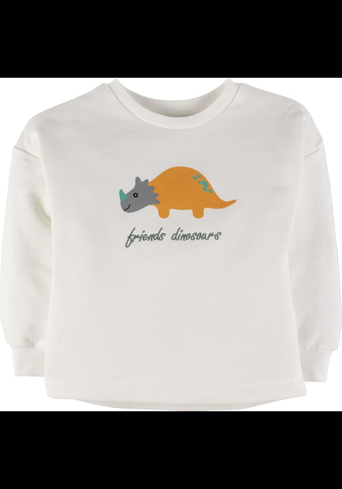 Baskili Sweatshirt 17083