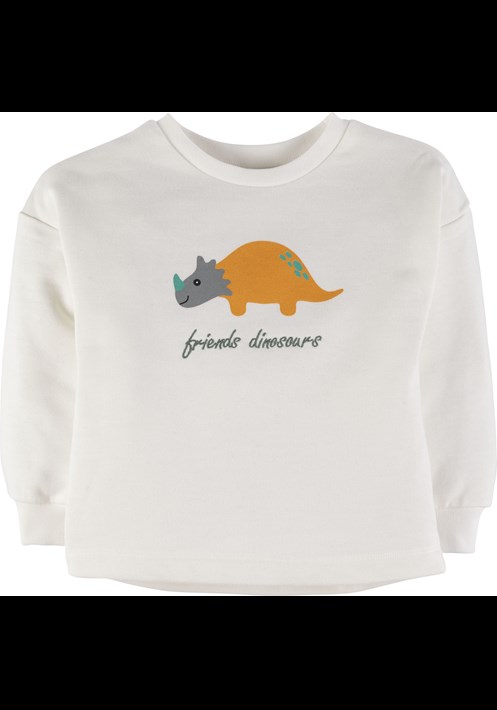 Baskili Sweatshirt 17083 1
