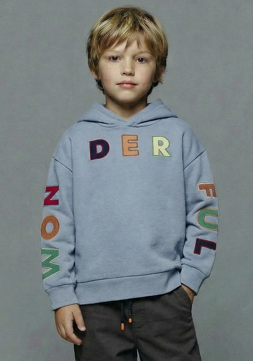 Kapüsonlu Sweatshirt 19086 1
