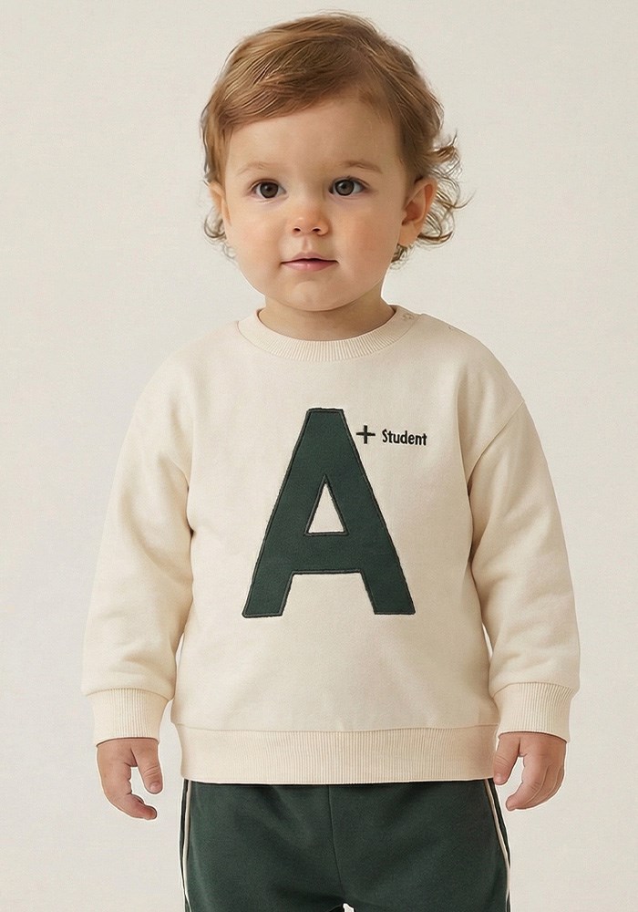 Sweatshirt 19123