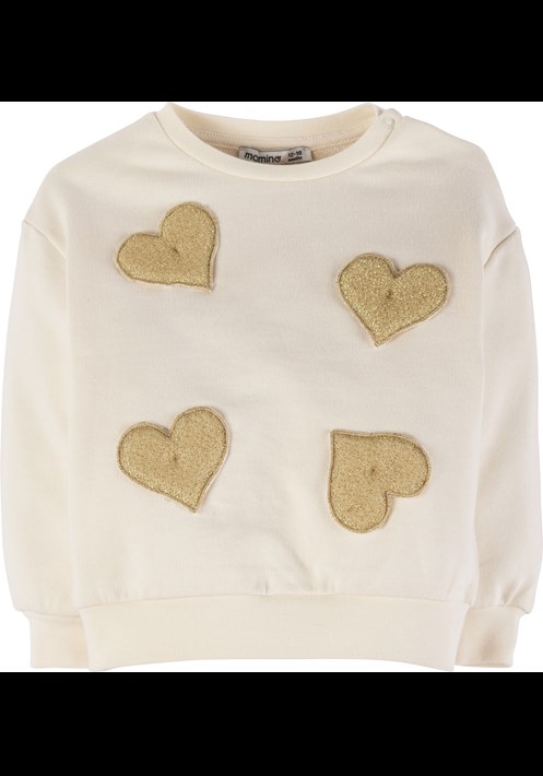 Sweatshirt 17941 1